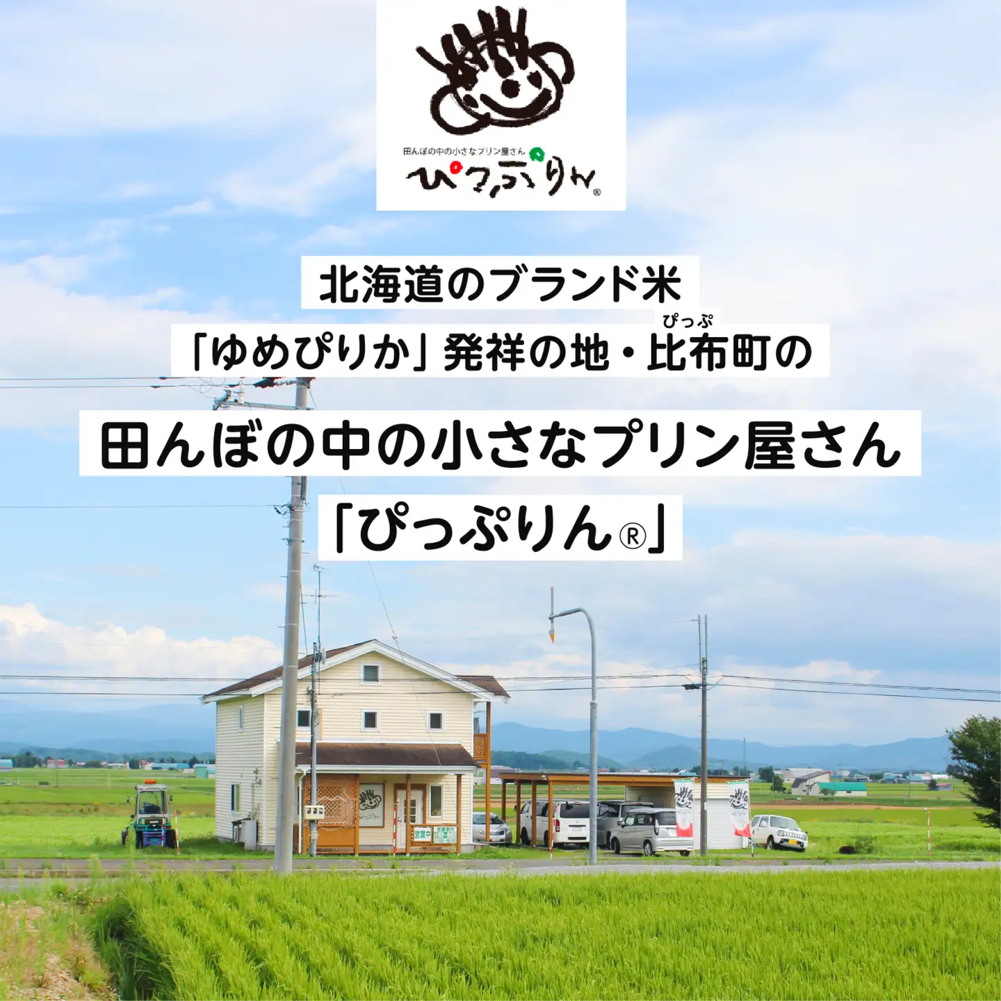 田んぼの中の小さなプリン屋さんの「ぴっぷりん」 90ml×6本【ぴっぷりん】プリン ぷりん カラメル不使用 ふわとろ スイーツ デザート おやつ お菓子 洋菓子 お取り寄せ 北海道 比布町 ぴっぷ 1008-001