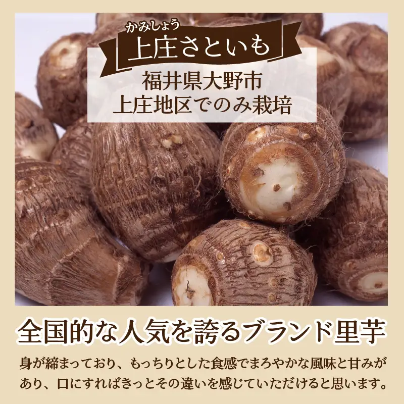 先行予約】【12月発送】.上庄さといも 5kg 減農薬・減化学肥料の特別