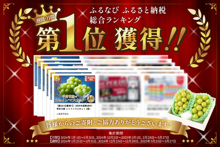 【総合1位獲得!! レビュー高評価★】〈2026年度配送分〉山梨県産 シャインマスカット 2～3房（1.0kg以上）