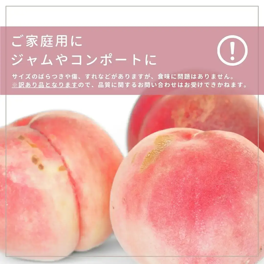 先行予約 桃 自家用 5kg程度 品種おまかせ 新潟県産 桃 石田フルーツガーデン