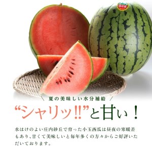 SB0911　庄内の美味しい 小玉すいか 秀品　7kg以上(3～5玉入)