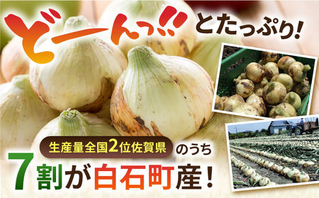 【2026年5月中旬以降発送】白石産たまねぎ 10kg / たまねぎ 玉ねぎ [IAK011]