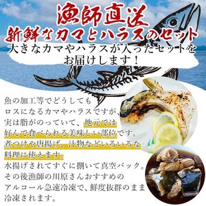 漁師直送 カマ・ハラスセット（愛媛県西予市明浜産） ANS0003