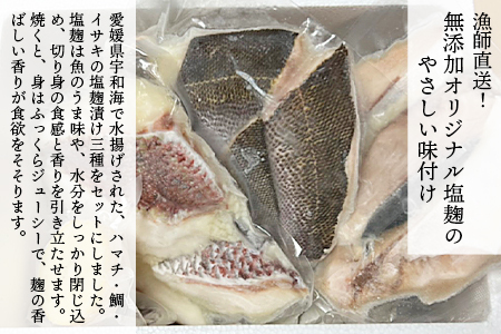 ＜漁師直送 無添加 夏の塩麹 160g×3種セット＞ 魚 詰め合わせ 海鮮 海産物 海鮮セット ハマチ 鯛 イサキ 焼くだけ 簡単調理 処理済み 明浜産 二ノ宮商事株式会社 愛媛県 西予市【冷凍】『2026年4月～9月末迄に順次出荷予定』ANS0004