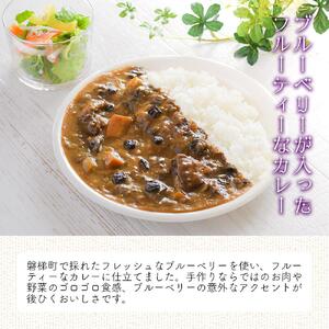 ブルーベリーカレー