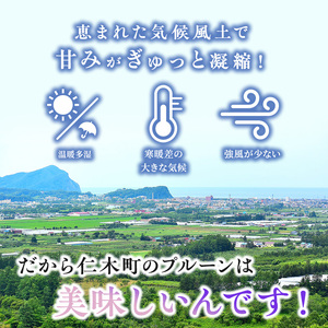 [先行受付] 9月末～10月お届け 北海道 仁木産 フレッシュ プルーン 約2kg（サイズ混合）品種 おまかせ 果物 くだもの フルーツ [峠のふもと　紅果園]