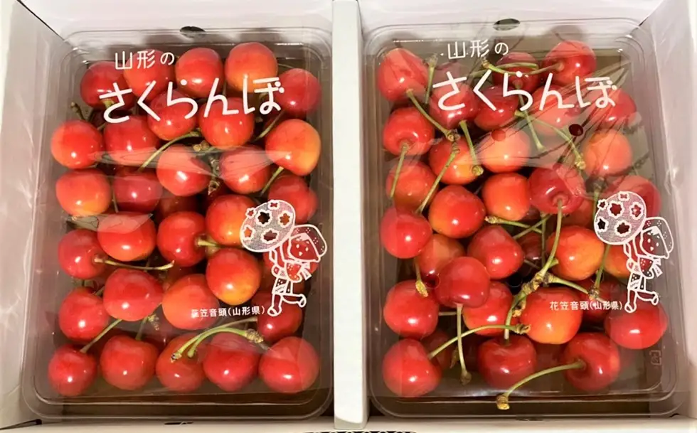 さくらんぼ（佐藤錦）７００ｇ　Ｌサイズ　0066-2601