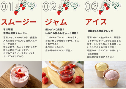 【先行予約＿2026年出荷分】 完熟 冷凍イチゴ 1kg　【 フローズン ストロベリー スムージー 苺 いちご 】