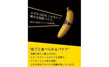 国産バナナNEXT716「6本」レギュラーサイズ【国産 バナナ 無農薬