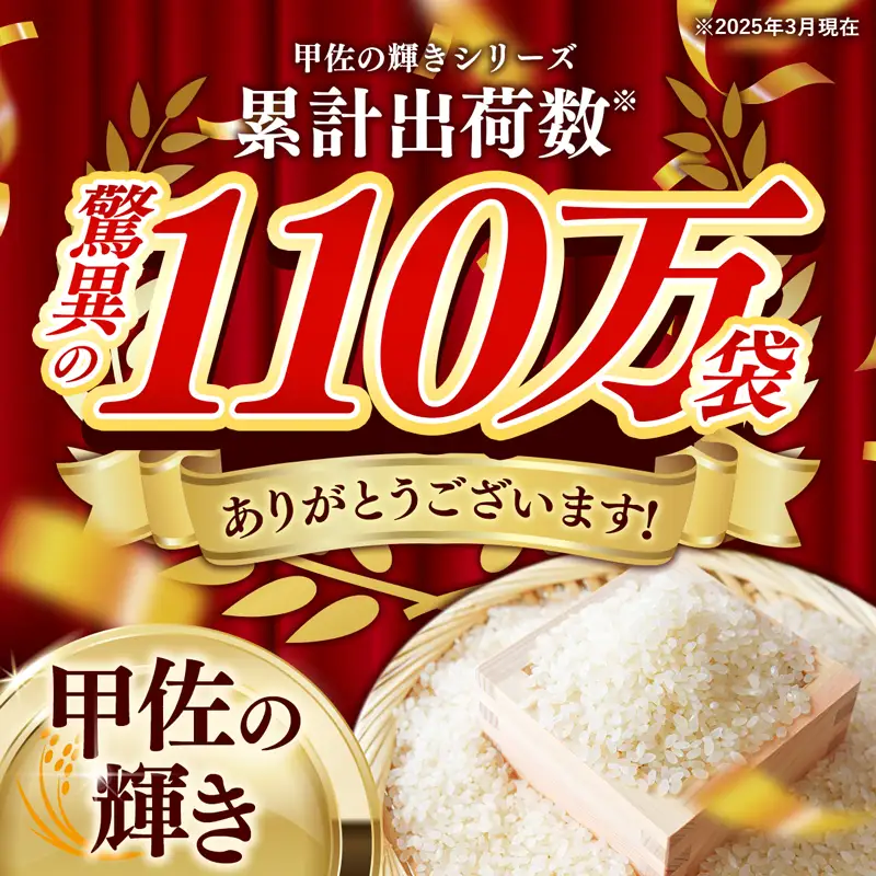 白米 精米 ブレンド米 甲佐の輝き 10kg 訳あり 令和7年産【価格改定XN】