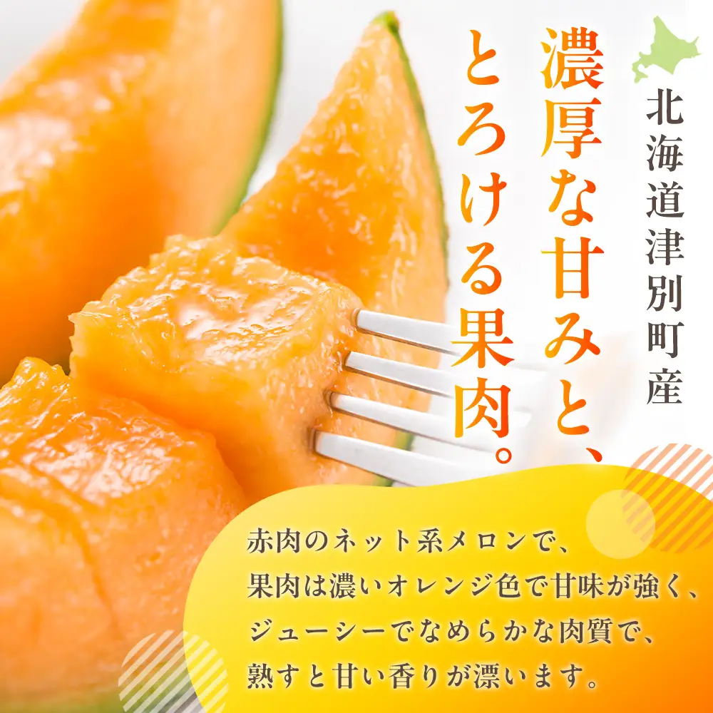 【R8年収穫分】【数量限定】さのさん家のメロン（L玉以上）１玉 湧き水栽培 さの農場 | 北海道津別町