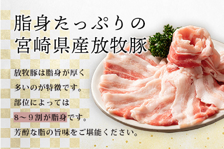 宮崎県産【訳あり】THE HOUBOQ 魅力の満足セット 豚肉 スライス肉指定バージョン 合計2.5kg[宮崎 椎葉村 豚肉 豚 肉 ぶた にく ぶたにく おにく お肉 訳あり スライス スライス肉 美味い 日本三大秘境 美味しい 逸品]【HB-71】
