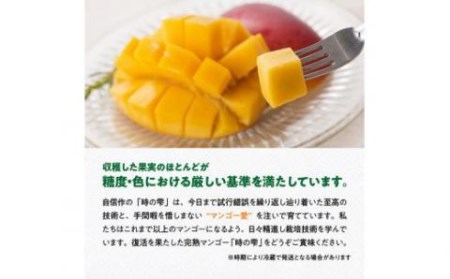 マンゴー 【令和8年発送】宮崎県産完熟マンゴー「時の雫」4L×2玉 フルーツ マンゴー