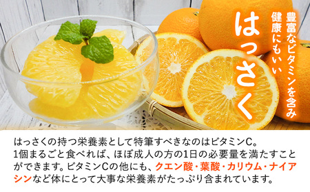 【先行予約】八朔 はっさく ネット入 約15kg 3L-Lサイズ JAわかやま 紀の里地域本部 《2027年1月上旬-3月末頃出荷》 和歌山県 紀の川市 果物 フルーツ 柑橘 はっさく