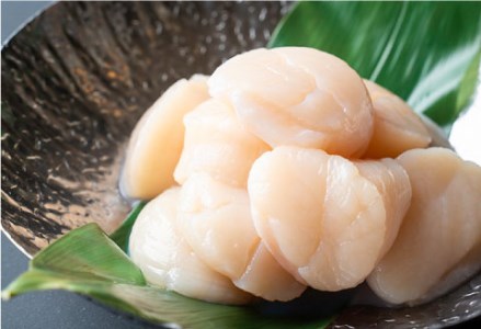 北海道産・お刺身用ホタテ玉冷凍【L】500g ふるさと納税 ほたて 帆立 F4F-7826