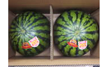 荻野農園のスイカ大玉(1個) or 小玉(2個) 果物類 フルーツ 