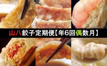 ぎょうざの山八★餃子定期便（年6回偶数月）【随時開始】[H7002]