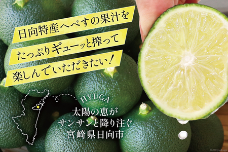 【期間限定発送】訳あり 旬を先取り 黒木へべすファーム自慢の《ハウス》 へべす 2kg [黒木へべすファーム 宮崎県 日向市 452060743]