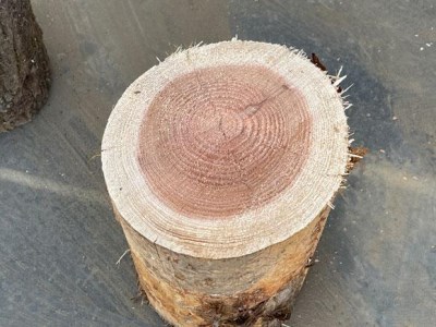阿蘇の薪 針葉樹20kg（10kg×2箱）