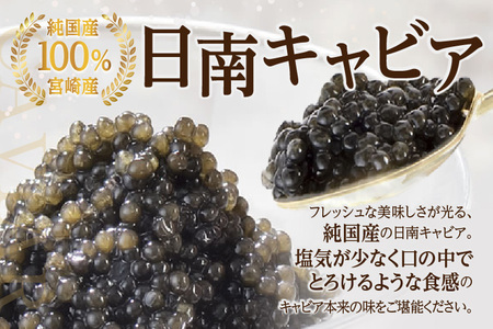 数量限定 日南キャビア 2種 食べ比べ セット 合計10g 5g×2個 魚卵 魚介 魚貝 国産 食品 新鮮 世界三大珍味 希少 贅沢 海産物 おつまみ おすすめ 高級 ご褒美 パーティー お祝 記念日 人気 お取り寄せ 贈り物 特産品 グルメ 冷凍 宮崎県 日南市 送料無料_CC35-23