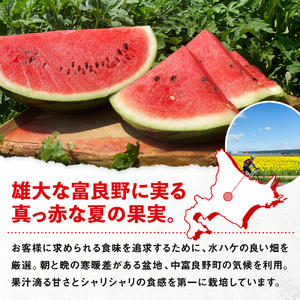 【2026年発送】ひとときすいか1玉（9キロ～）期間数量限定【BV-001】