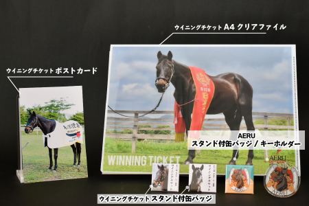 優駿ビレッジAERU G1馬｢ウイニングチケット｣オリジナルグッズ(計6個)[07-1083]