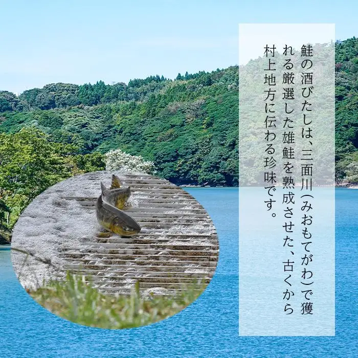 越後村上名産品　鮭の酒びたし　35g　新潟県　新潟　おつまみ　ご当地