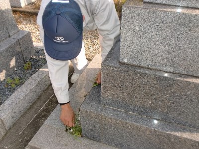 お墓の掃除(1)(2㎡以内)