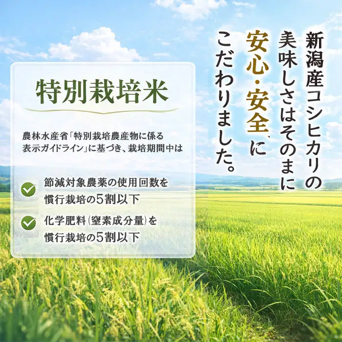 【令和7年産】新潟産コシヒカリ 特別栽培米 5kg 精米 白米