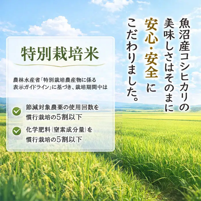 【令和7年産】新潟県魚沼産コシヒカリ 特別栽培米 5kg 白米 精米