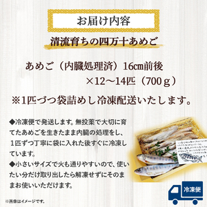 【予約受付】四万十の幸「あめご」 使いやすい小ぶりサイズ 700g (16cm前後×12～14匹) Eay-02 あめご あまご アメゴ アマゴ 小魚 魚 魚介 川魚 塩焼き 南蛮漬け 冷凍 魚貝類 