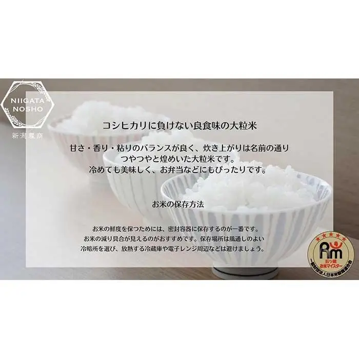新潟県産虹の煌めき　5kg　