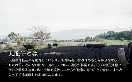 【希少な黒毛和牛】天龍牛ウインナーソーセージ　約175g（5本入り）×4セット ソーセージ 天龍牛 黒毛和牛 長野県産 信州産 お肉 国産 希少 お酒のつまみ 