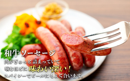 【希少な黒毛和牛】天龍牛フランク＆ソーセージセット ソーセージ 天龍牛 黒毛和牛 長野県産 信州産 お肉 国産 希少 お酒のつまみ 