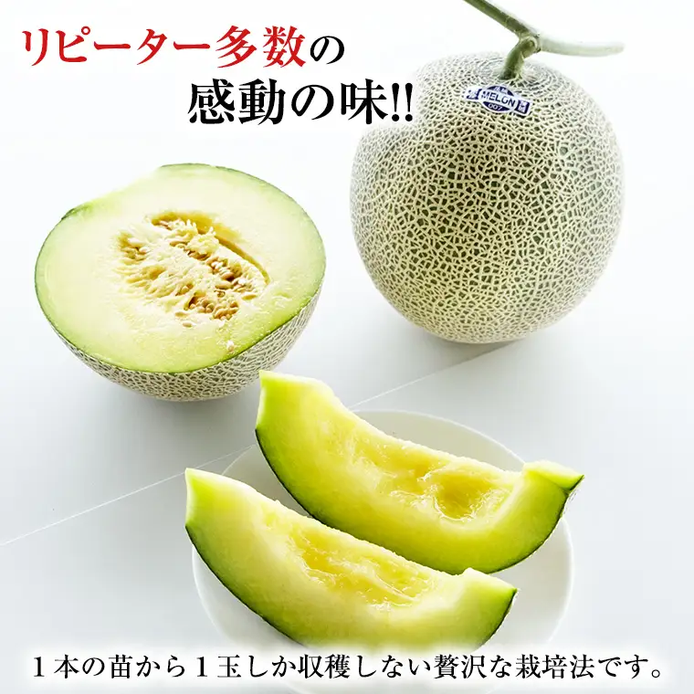 【2026年8月下旬発送開始】 季節 限定 ！ 甘さ満点 アールスメロン 3玉 入箱 果物 フルーツ 農家直送 産直 青肉メロン 特産品 マスクメロン メロン くだもの 茨城 [BC044sa]