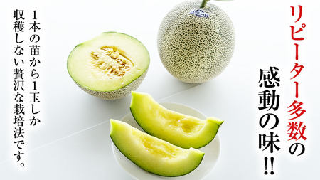 【2026年8月下旬発送開始】 季節 限定 ！甘さ満点 アールスメロン 2玉 入箱 [BC045sa]