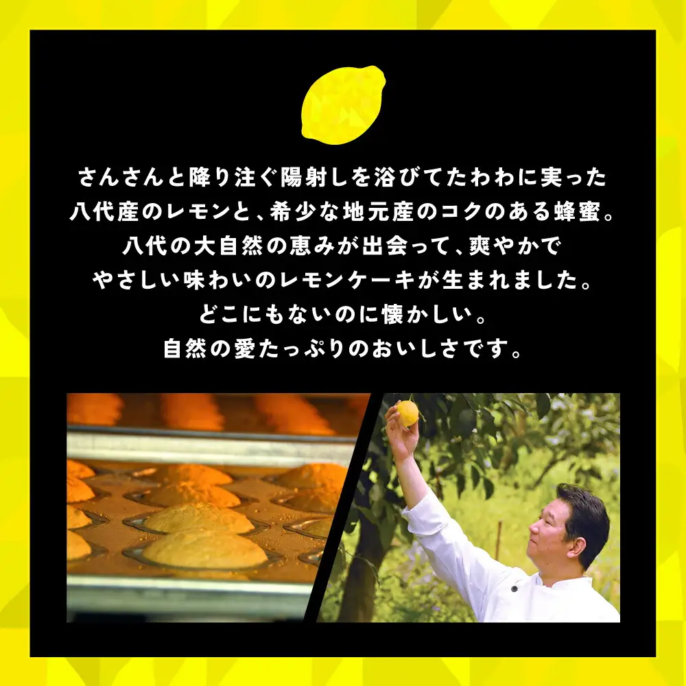 八代市産 レモン使用 レモンケーキ 10個 ボンブ 茶菓子 ケーキ スイーツ 洋菓子
