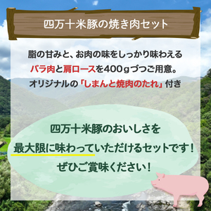 米で育ったブランド豚「しまんと米豚焼き肉セット」800g（400g×2） Qjs-02 国産 ぶた肉 豚肉
