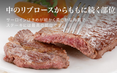 サーロインステーキ 540g ファームズ千代田　「びえい 和牛 」 |  サーロインステーキ 牛肉  [045-10]