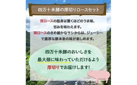 【大人気返礼品】しまんと米豚の厚切りロースセット（150g×6枚） 米豚 豚肉 厚切りロース 冷凍 ／Qjs-04