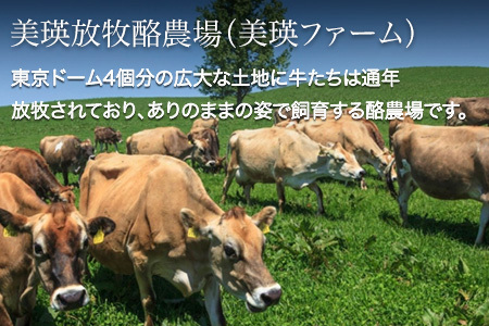 チーズ セット 美瑛放牧酪農場 チーズフォンデュ 北海道 チーズ詰め合わせ  [018-44]