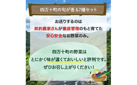 特製ポン酢付き！安心安全の地ドレ野菜（旬が香る7種セット） 野菜便 野菜 国産野菜 詰め合わせ 水耕セリ アスパラ ミョウガ ニラ 冷蔵 ／Qjs-05