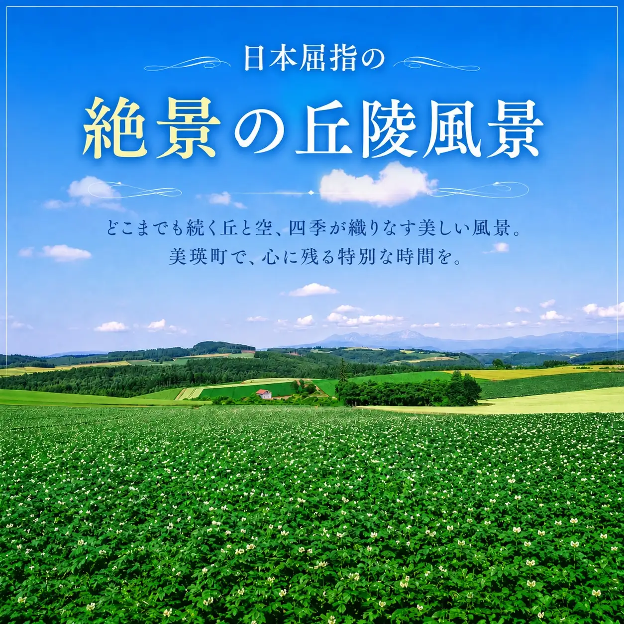 美瑛町宿泊施設利用券９枚 | 宿泊券 北海道 宿泊券 美瑛町[150-01]
