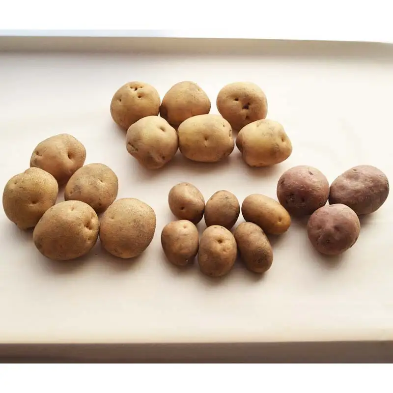 『春夏秋菜』じゃがいも4種類食べ比べセット5kg 2026年11月より順次発送 EB8-0196