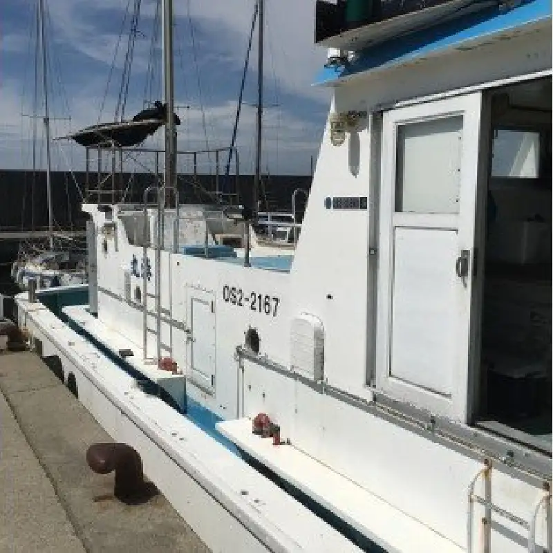 【 泉南 ・ 岡田浦漁港 】 釣り船 湊丸 午前便・午後便 1名様 体験 泉州沖 船釣り アジ メバル 釣り船 体験チケット 釣り 乗合船 岡田浦漁港 レジャー 趣味 フィッシング【049D-002】