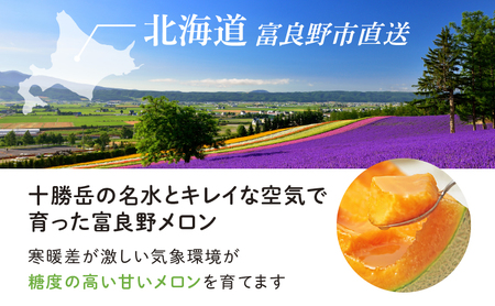 【2026年夏発送】北海道 富良野メロン 5玉 計約8kg メロン フルーツ 果物
