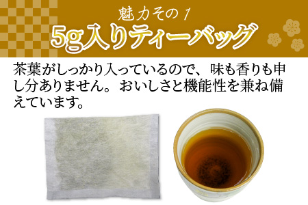 大容量 合計60袋 ほうじ茶ティーバッグ (5g × 30p) × 2個 日本茶 飲料 お茶 温茶 冷茶 水出し [A-12277]