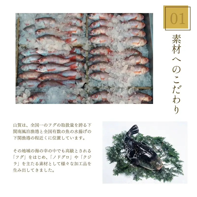 のどぐろ開き 0℃熟成 干し 8尾 のどぐろ AS