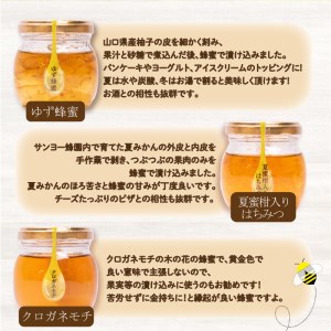 はちみつ 国産 蜂蜜漬け セット 570g( 95g×6種 ) 山口県産 下関 ES002-NT
