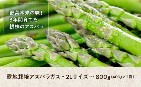 【5月下旬～6月上旬発送】旬の採れたて野菜「アスパラガス」